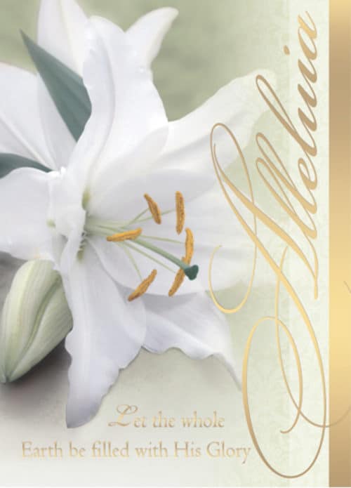 EasterLilly