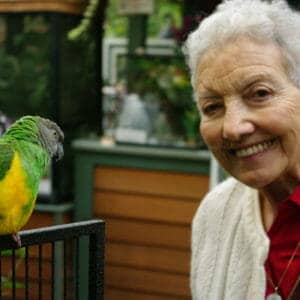 Seniors Trip Butterflies & Candles 6-22-16 001 Seniors Trip Butterflies Candles 6 22 16 001 e1527781145252