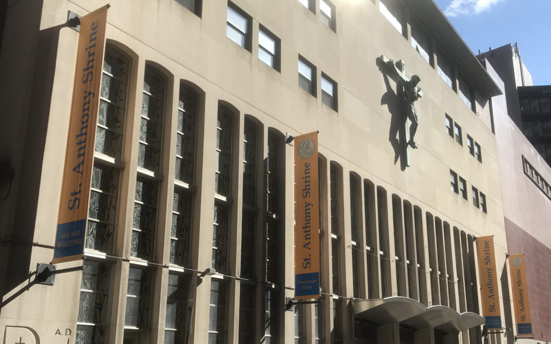 Intern Insight – Getting Acclimated at the Shrine