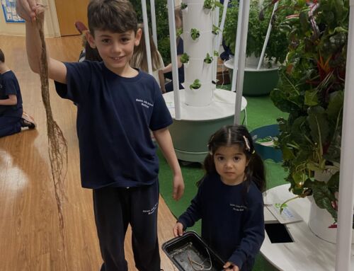 St. John School and the Franciscan Food Center: Growing to Give