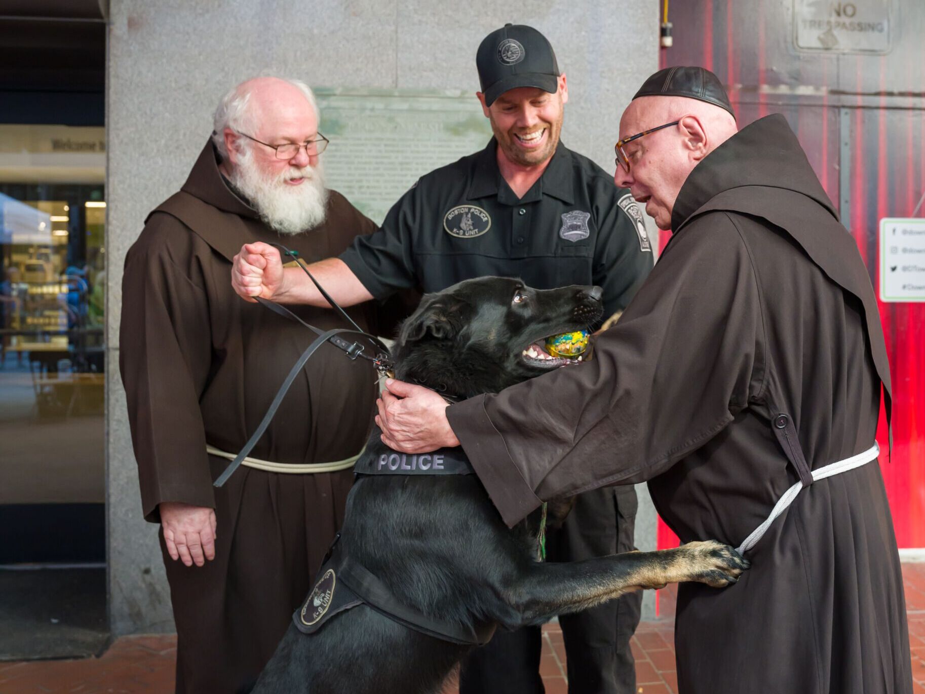 Bless My Pet 9 JulianneGauron 4106 35 scaled e1760016580239